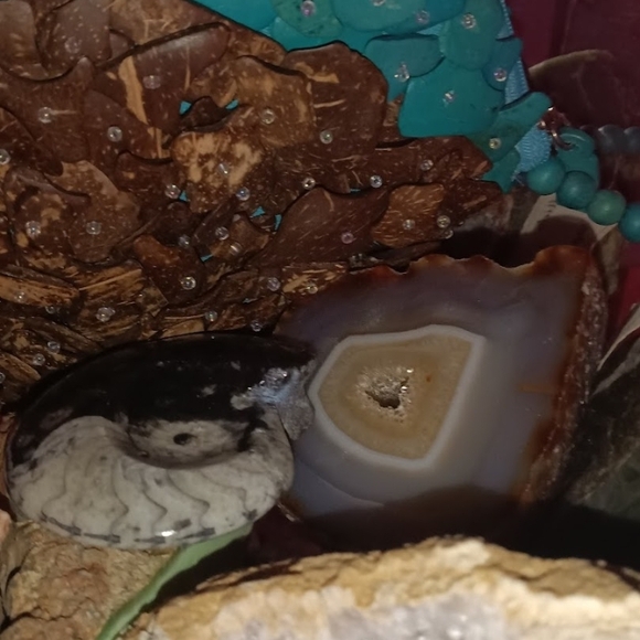 Not For Sale - Picture 3 of 11